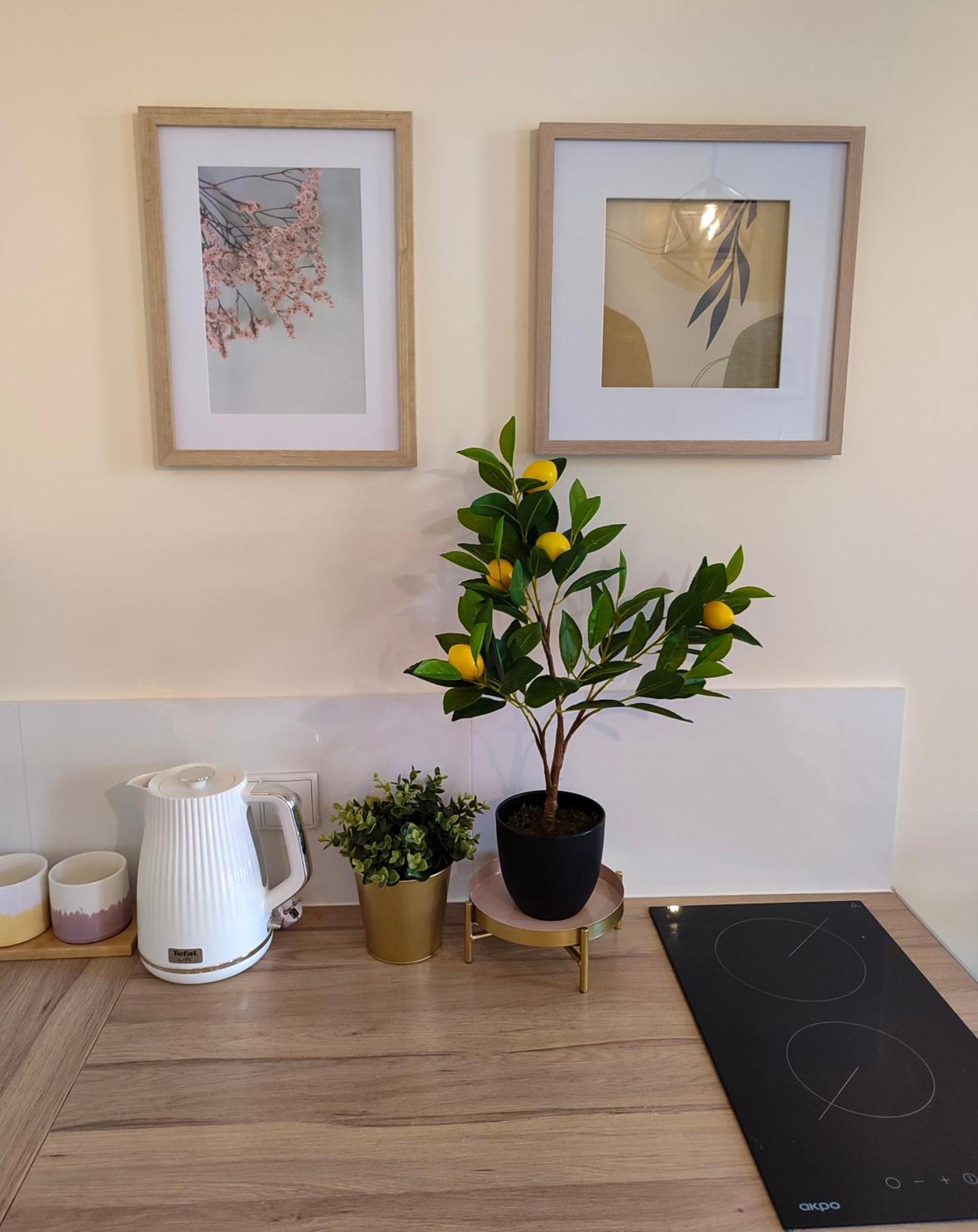 Apartamenty Piekary 11 Przy Wisle By Rentoom Stary Toruń Kültér fotó